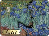 Memoriez 2D Magneet Irises Van Gogh