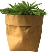 de Zaktus - cactus - hoya kerii - hartjes plant - UASHMAMA® paperbag roest bruin- Maat S