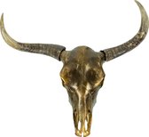 Liviza Skull decoratie - Buffalo schedel met hoorns - 73 cm - Dierenschedel