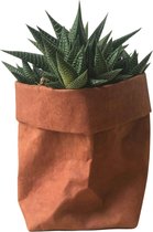 de Zaktus - Aloe Cosmo - vetplant - UASHMAMA® paper bag donker grijs - Maat M