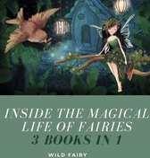 Inside the Magical Life of Fairies
