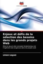 Enjeux et défis de la sélection des besoins dans les grands projets Web