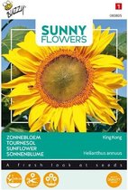 Buzzy® Sunny Flowers, Zonnebloem King Kong