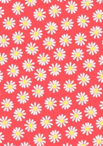 Cadeaupapier inpakpapier Bloemen Madeliefjes Neon- Breedte 50 cm - 200m lang