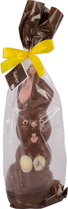 spoor vijandigheid Intrekking Chocolade Paashaas GROOT XL Geschenk 40 cm Hoog x 12 clm breed 500 gram van  Bonbiance | bol.com
