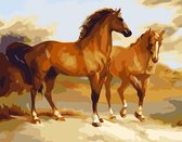 Eagle®️ Schilderen op Nummer Volwassenen - Prachtige Paarden - Gespannen op Houten Frame - 50x40cm