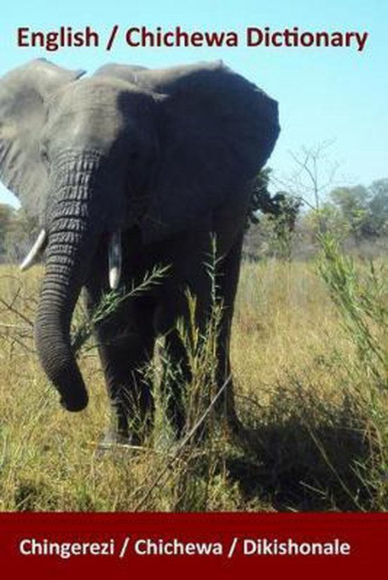 English / Chichewa Dictionary, John C Rigdon 9798650917144 Boeken