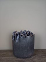 Still| vaas| bloempot| ovale vaas| ovale bloempot| aardewerk| black vintage| medium formaat, hoog 30 cm
