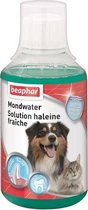 Beaphar mondwater - 250 ml - 1 stuks