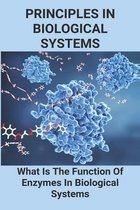 Principles In Biological Systems: What Is The Function Of Enzymes In Biological Systems