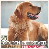 Golden Retriever Puppies 2021 Calendar