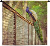 Tapisserie - Paon - Ressorts - Clôture - 60x60 cm - Tapisserie