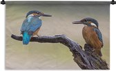 Wandkleed Ijsvogel - Ijsvogels in de regen Wandkleed katoen 90x60 cm - Wandtapijt met foto