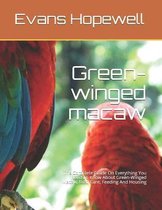 Green-winged macaw