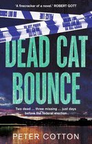 Dead Cat Bounce