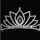 Zilverkleurige diadeem kroontje met strass.