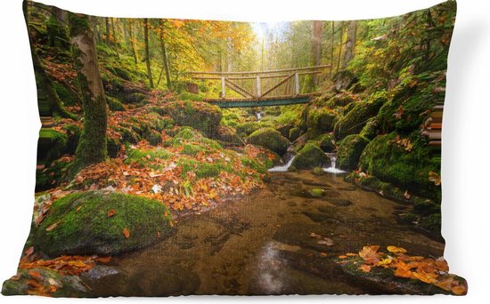 Sierkussen Forêt-Noire pour l'intérieur - La Forêt-Noire en Allemagne à l'automne - 50x30 cm - Coussin intérieur rectangulaire en coton