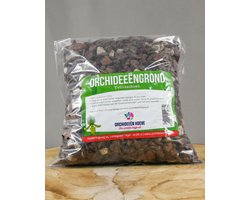 Potgrond orchidee - Venusschoenen