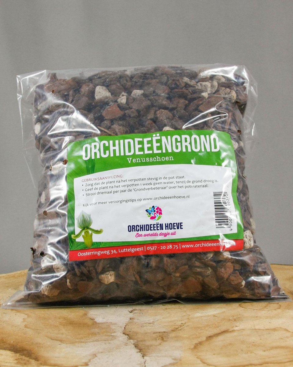 Potgrond orchidee - Venusschoenen