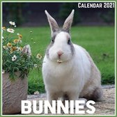 Bunnies Calendar 2021: Official Bunnies Calendar 2021, 12 Months