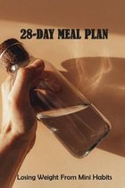 28-Day Meal Plan: Losing Weight From Mini Habits: Suffering From Health Problems