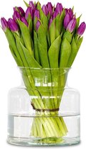 Paarse tulpen - 50 stuks