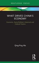 Routledge Focus on Economics and Finance- What Drives China’s Economy