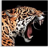 Poster Leopard Roar - Dibond - Meerdere Afmetingen & Prijzen | Wanddecoratie - Interieur - Art - Wonen - Schilderij - Kunst