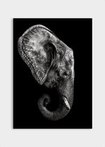 Poster Dark Elephant ² - Papier - Meerdere Afmetingen & Prijzen | Wanddecoratie - Interieur - Art - Wonen - Schilderij - Kunst