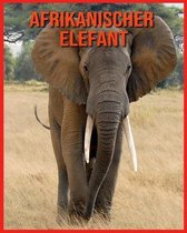 Afrikanischer Elefant