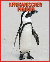 Afrikanischer Pinguin