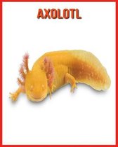 Axolotl