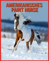 Amerikanisches Paint Horse