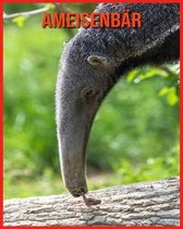 Ameisenbar