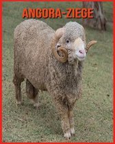 Angora-Ziege