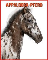 Appaloosa-Pferd