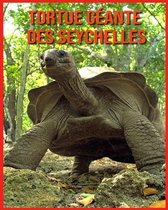 Tortue Geante des Seychelles