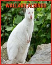 Wallaby Albinos