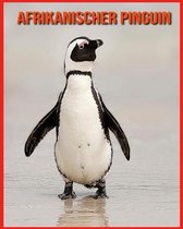 Afrikanischer Pinguin