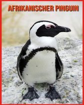 Afrikanischer Pinguin