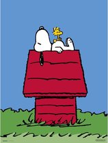 SNOOPY HOME - Art Collector Print 30x40 cm