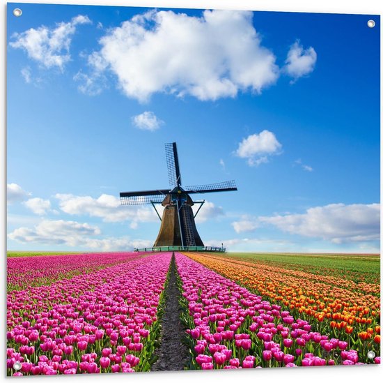 Tuinposter – Tulpen Veld bij Molen - 100x100cm Foto op Tuinposter  (wanddecoratie voor buiten en binnen)