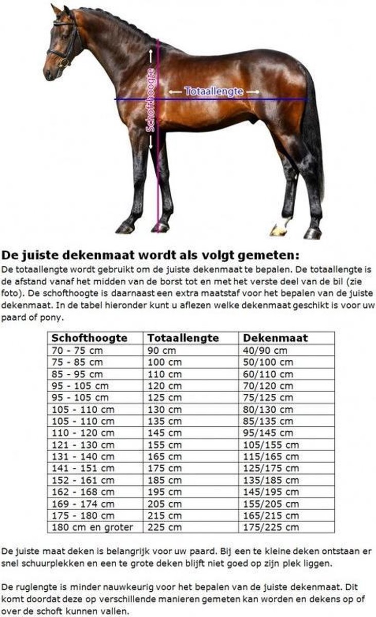 BR 4-Ever Horses Sweat / Show Rug - navy / white - Pony 147 cm totale lengte | bol.com