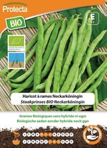 Protecta Groente zaden: Staakprinses Neckarköningin Biologisch