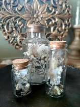 Alinterieur - Set van 3 droogbloemvaasjes - Witbeige
