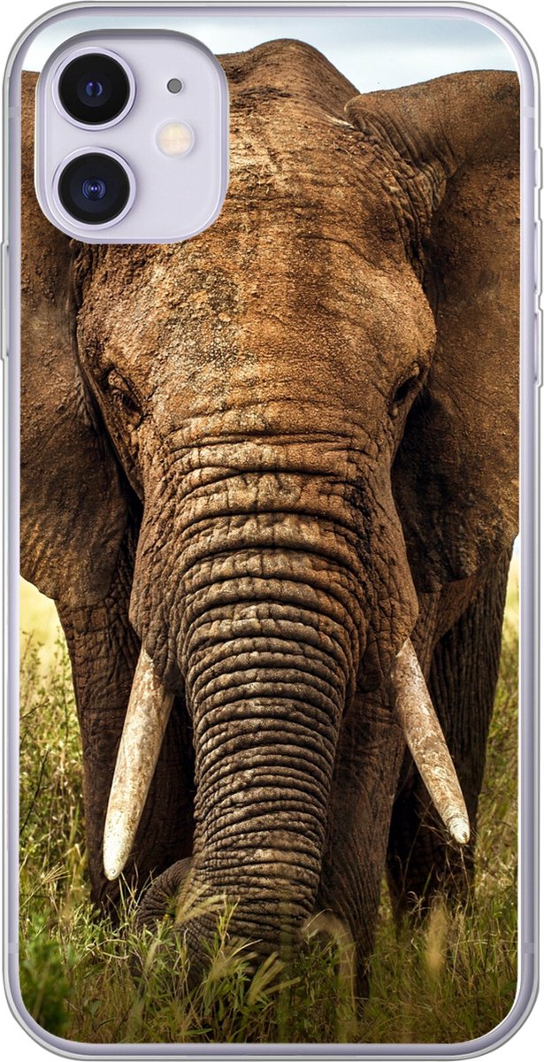 Telefoonhoesje Geschikt voor iPhone 11 hoesje - Olifant - Gras - Dieren - Natuur - Siliconen Telefoonhoesje Telefoonhoesje