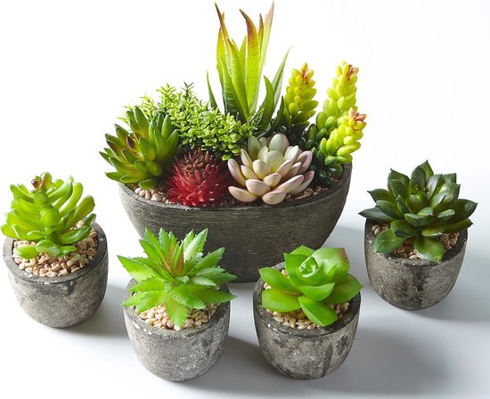 set van 5 kunstmatige vetplanten met potten (inclusief 10 planten), kleurrijke en decoratieve nep-vetplanten met stenen, ideaal voor thuis, op kantoor en buitendecoratie