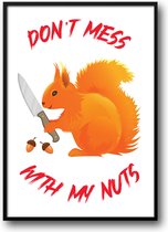 Don’t mess with my nuts fotolijst met glas 30 x 40 cm - Prachtige kwaliteit - eekhoorn - noten - grap - Harde lijst - Glazen plaat - inclusief ophangsysteem - Grappige Poster - Foto op hoge kwaliteit uitgeprint