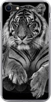 Geschikt voor iPhone 8 hoesje - Sumatraanse tijger op zwarte achtergrond in zwart-wit - Siliconen Telefoonhoesje