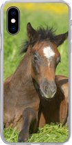 Geschikt voor iPhone X hoesje - Paarden - Licht - Gras - Siliconen Telefoonhoesje